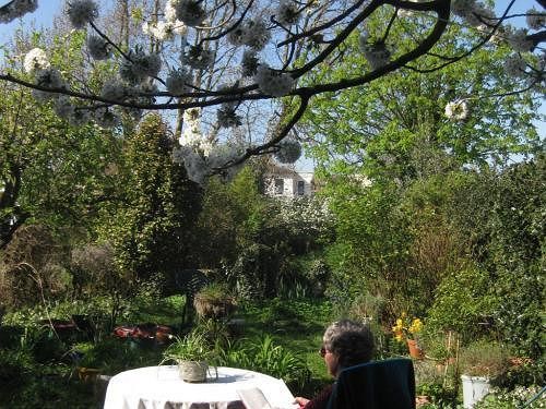 Grove Guest House Londen Buitenkant foto